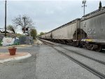 CBFX 398268